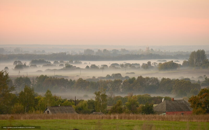 Foggy Rural Landscape — Green