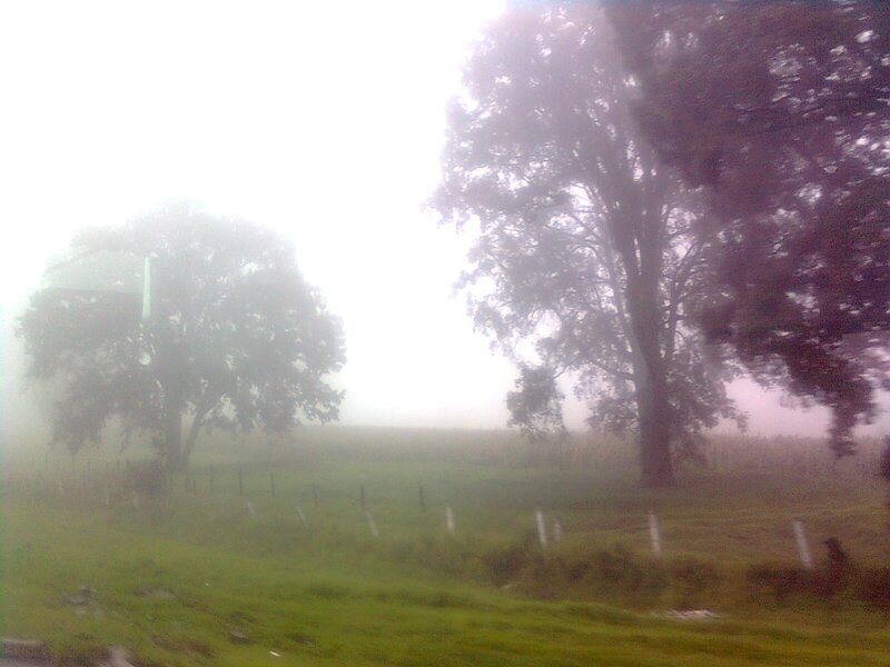 foggy rural landscape
