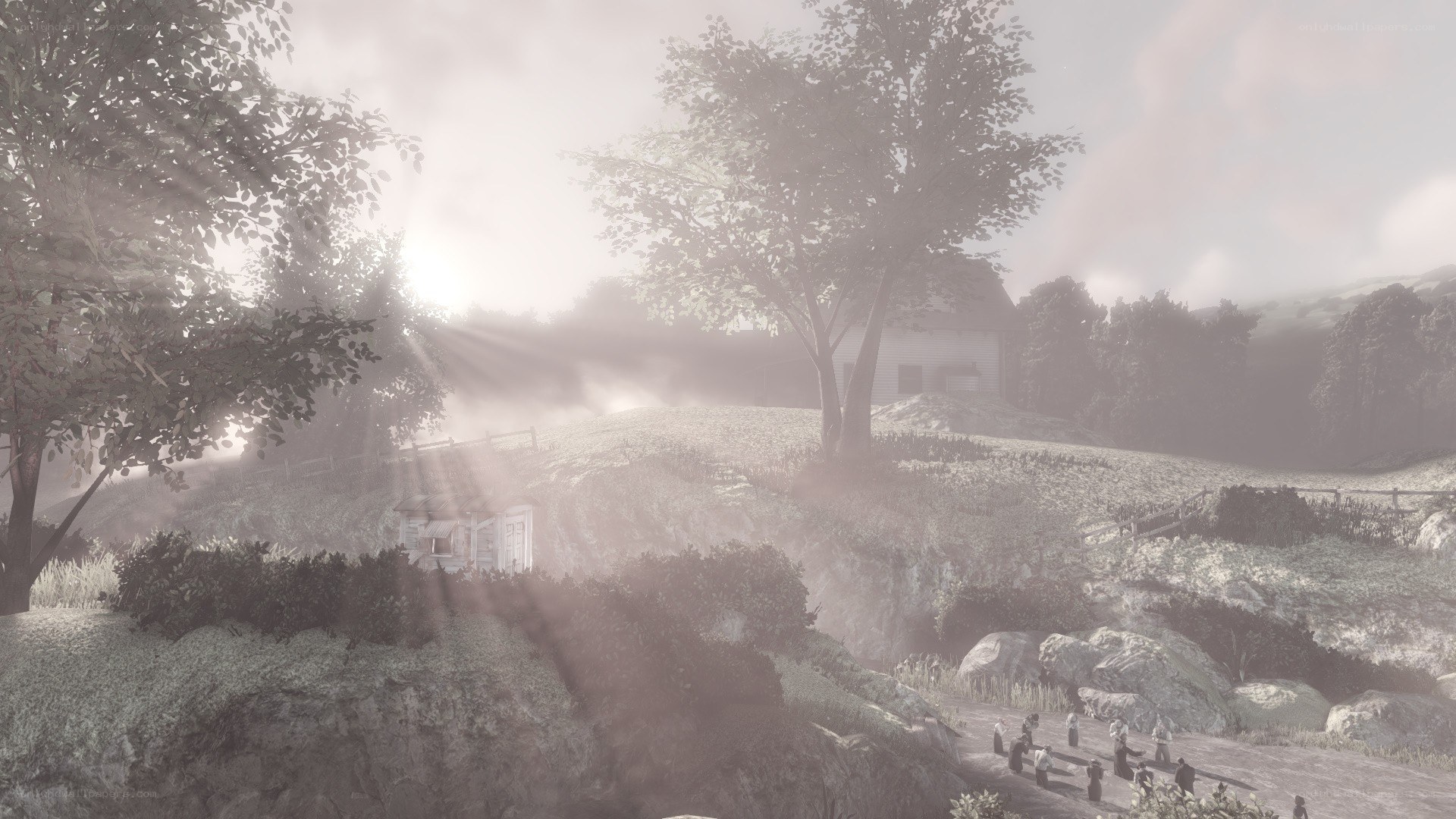 foggy rural landscape with sunlight