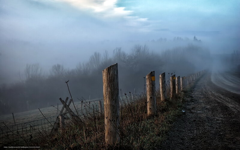 Foggy rural road at dawn