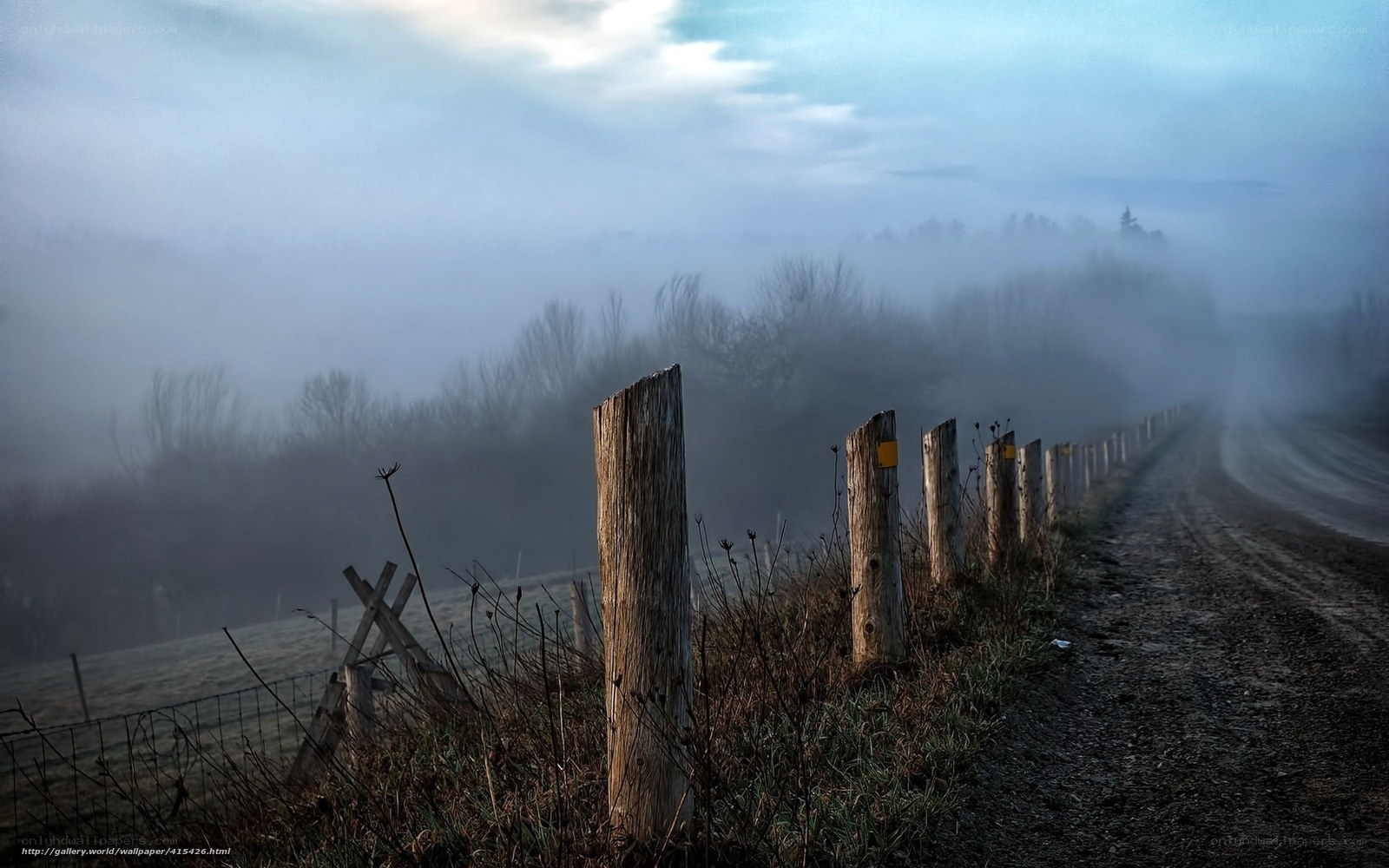 Foggy rural road at dawn