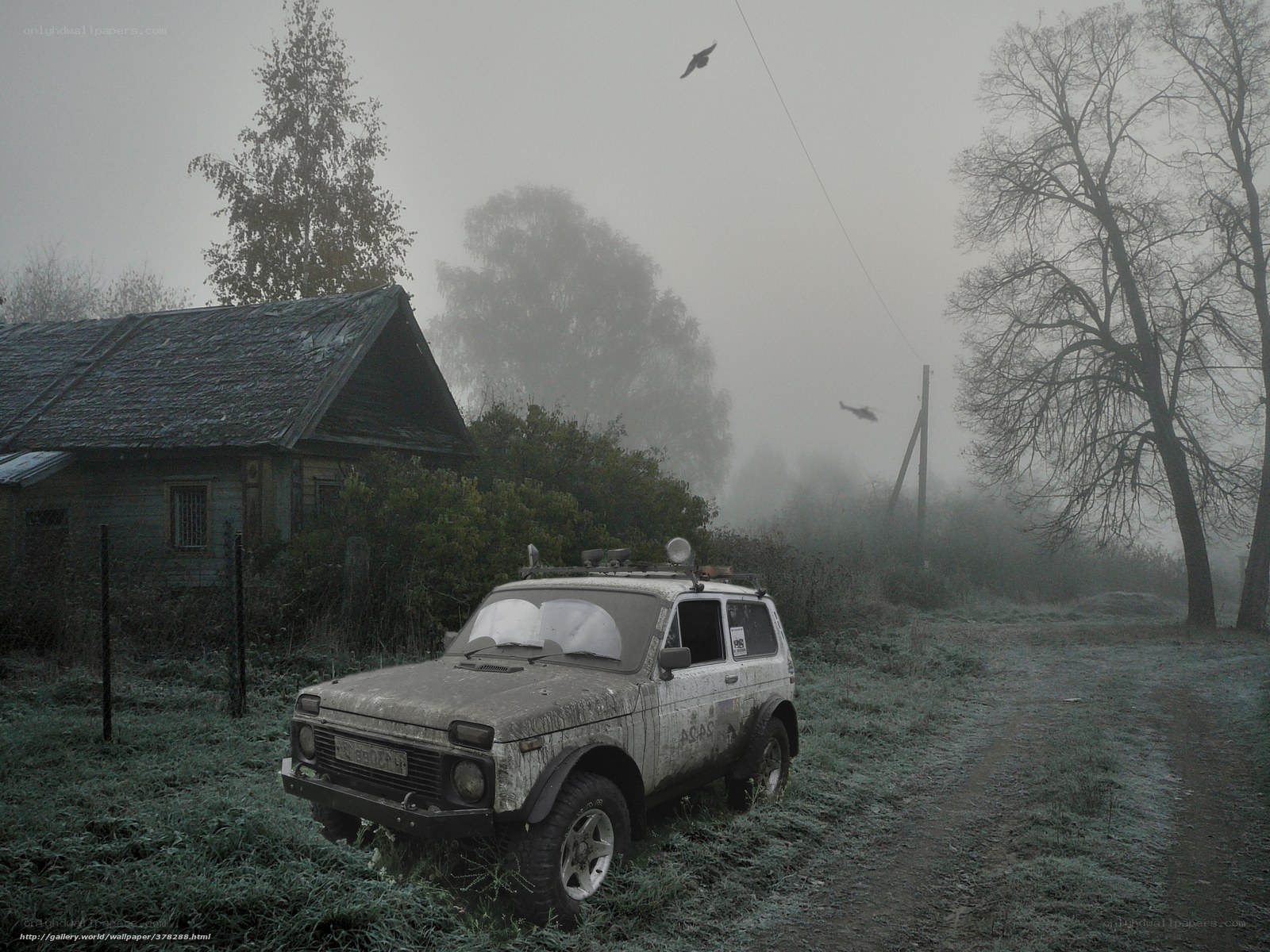 Foggy rural scene with old car