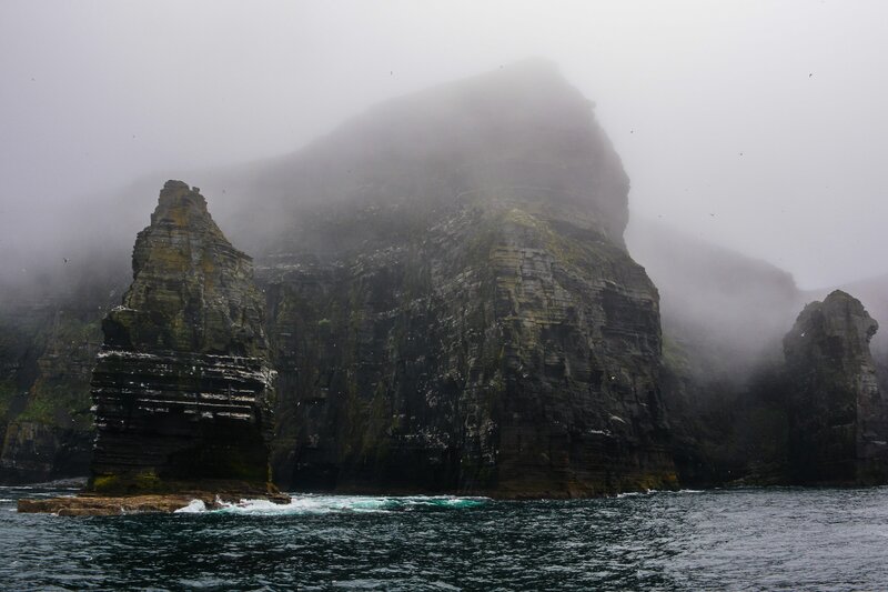 Foggy Sea Cliffs