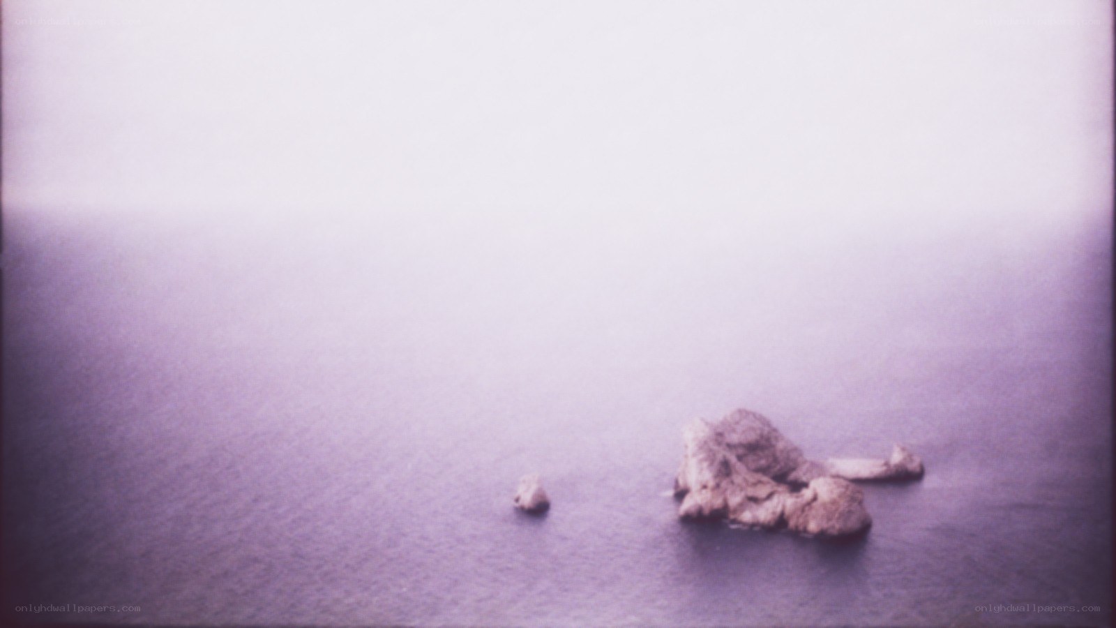 foggy sea with rocks