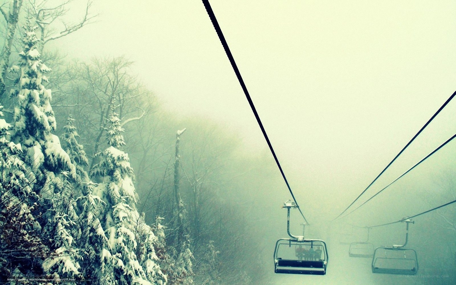 Foggy ski lift in snowy forest