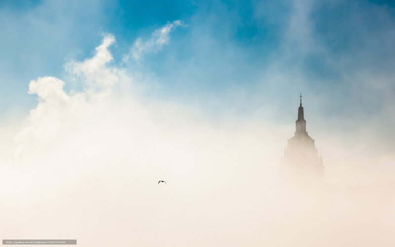 Foggy Skyline with Bird