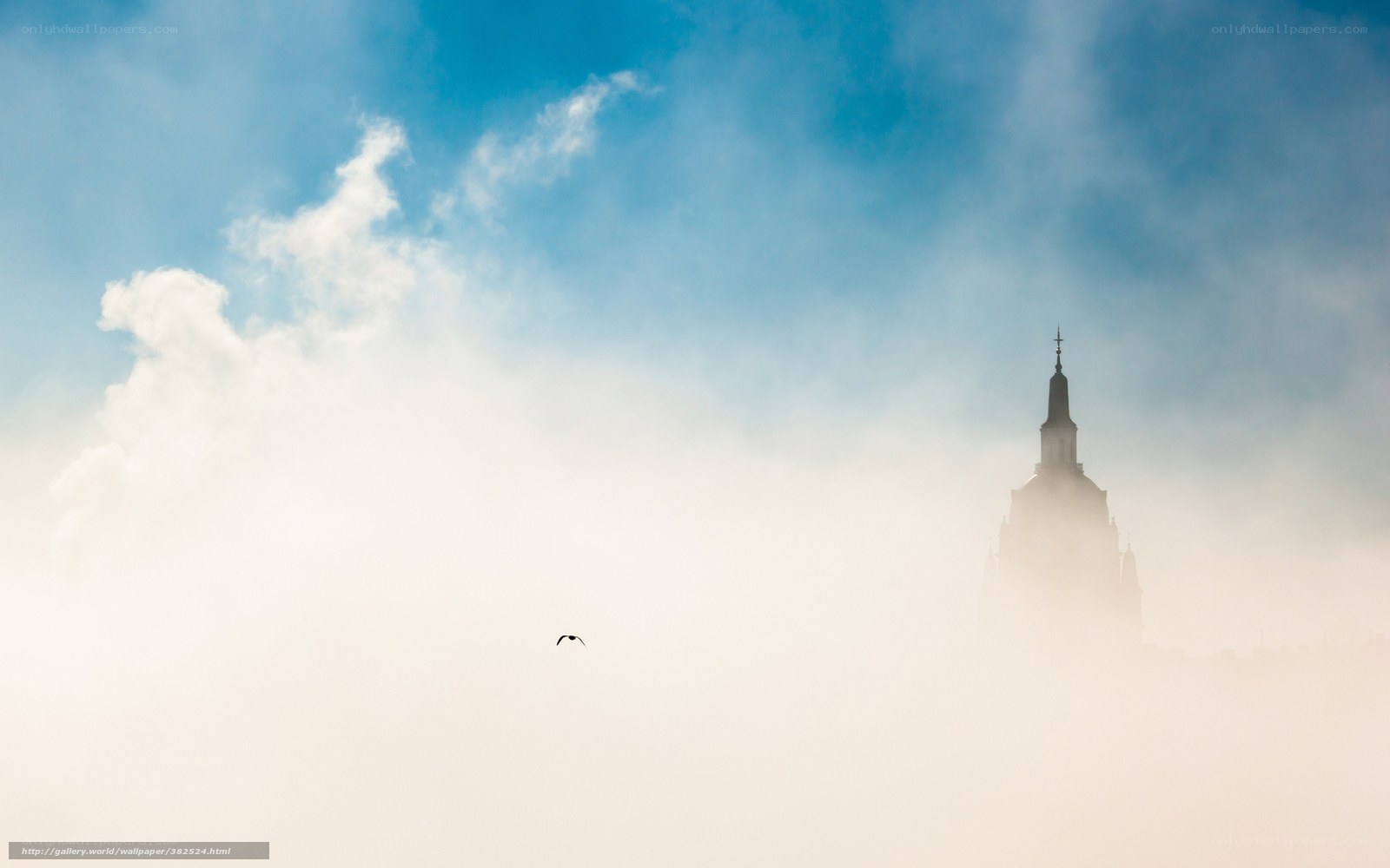Foggy Skyline with Bird