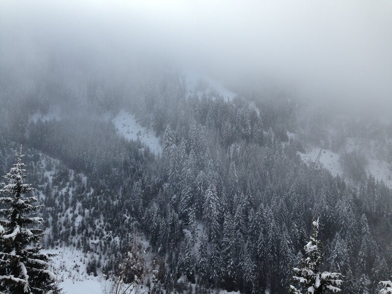 foggy snowy forest mountain