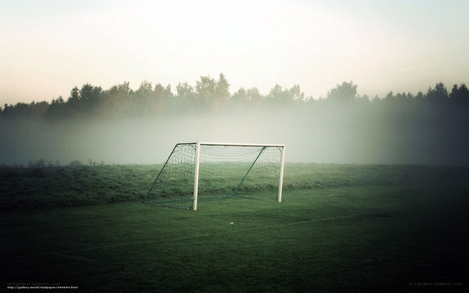 Foggy soccer goal at dawn