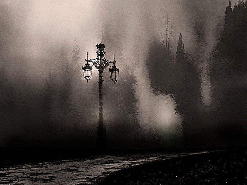 Foggy street lamp silhouette