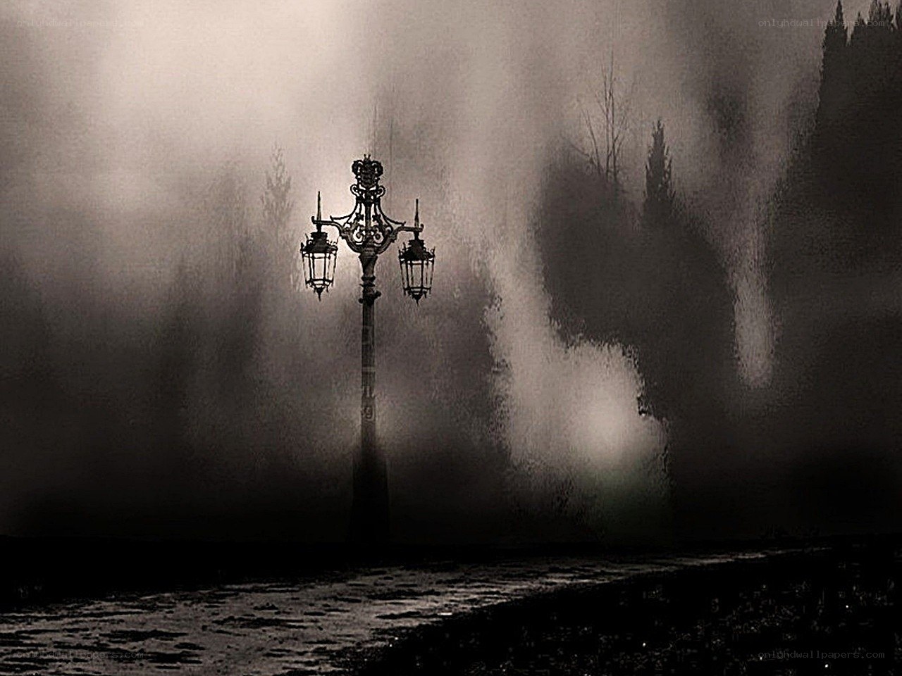 Foggy street lamp silhouette