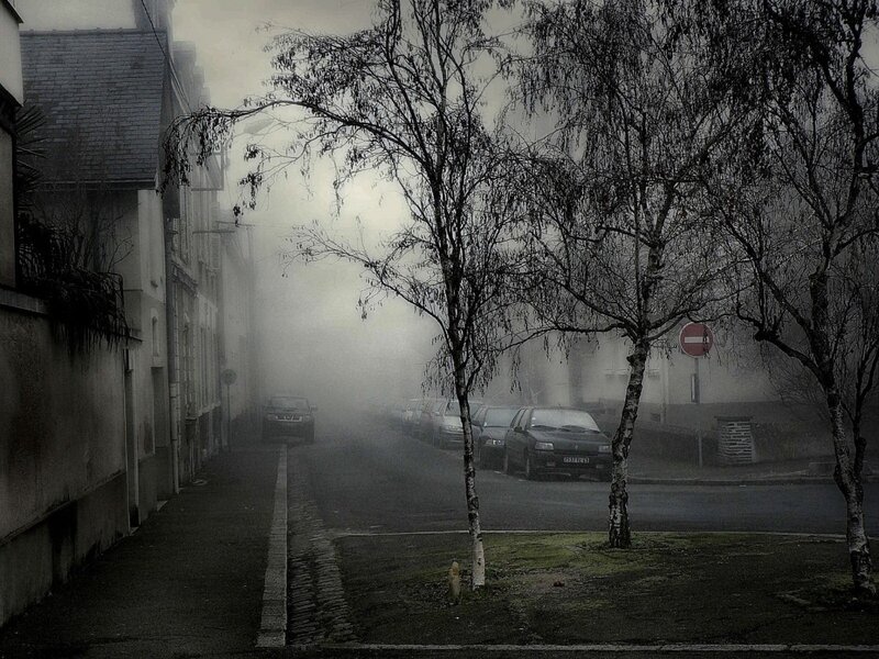 Foggy Street with Cars