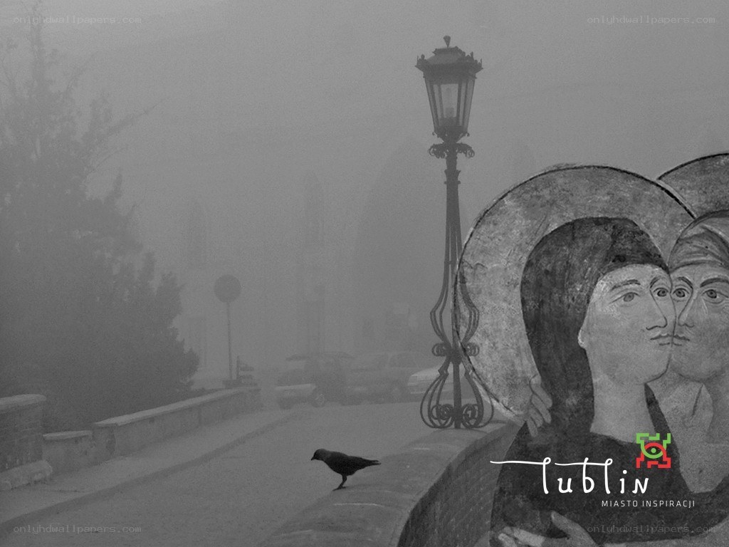 Foggy street with mural and crow