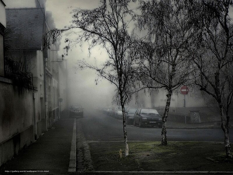 Foggy street with parked cars