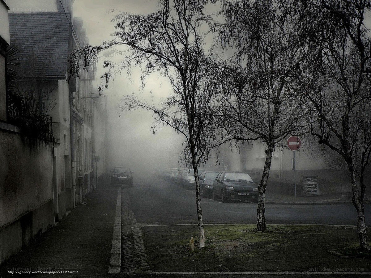 Foggy street with parked cars
