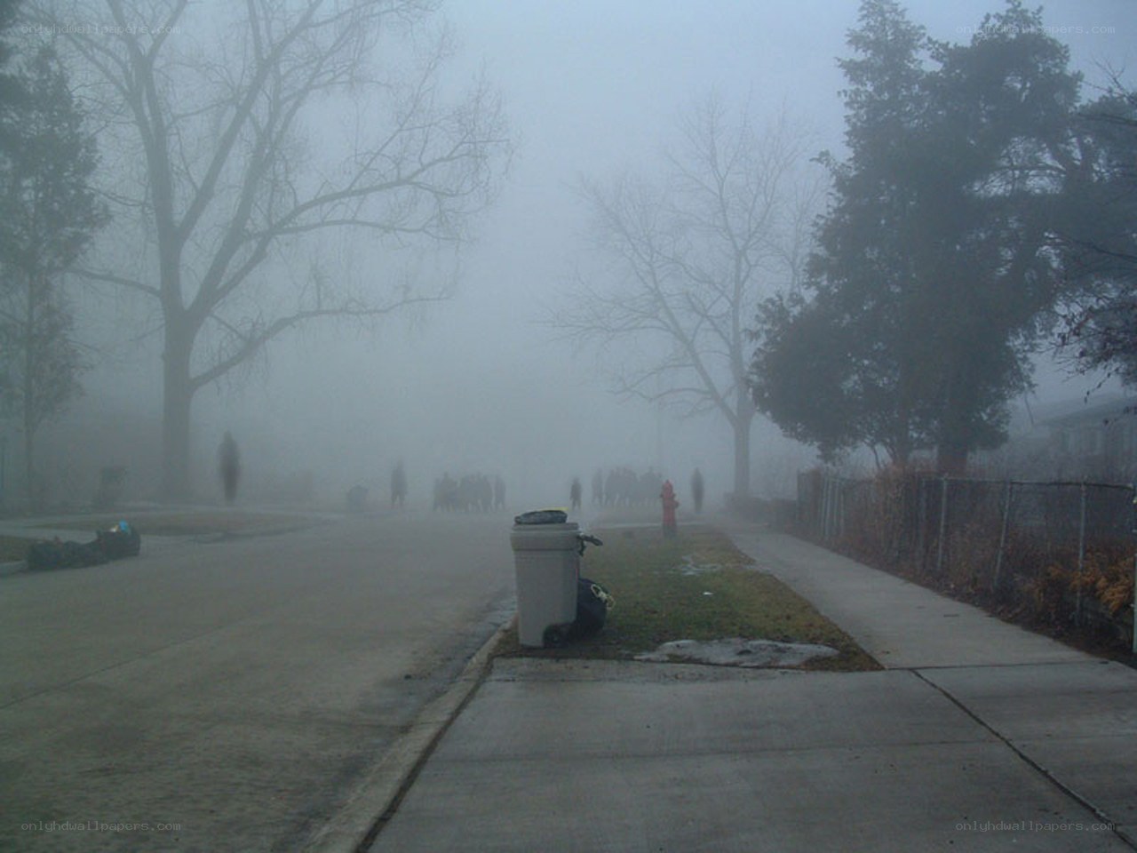 Foggy street with people
