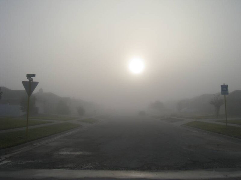 Foggy Suburban Street