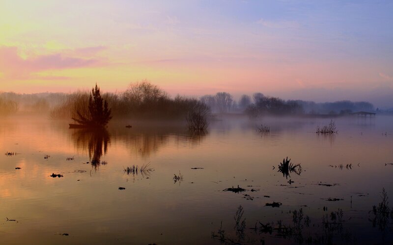 Foggy sunrise over a calm lake