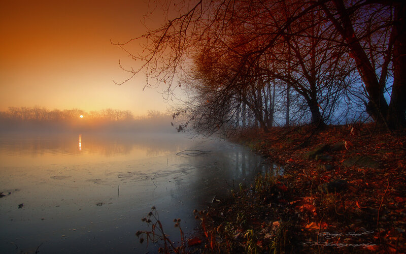 Foggy sunrise over a calm lake