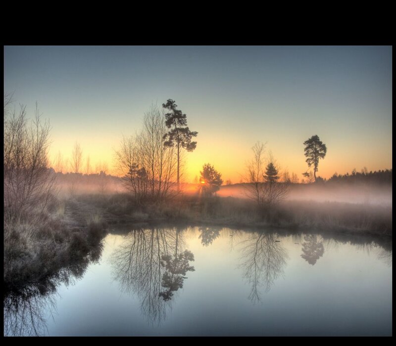 Foggy sunrise over a calm pond
