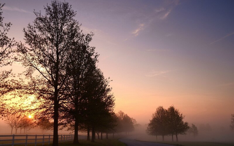 Foggy sunrise over a country road