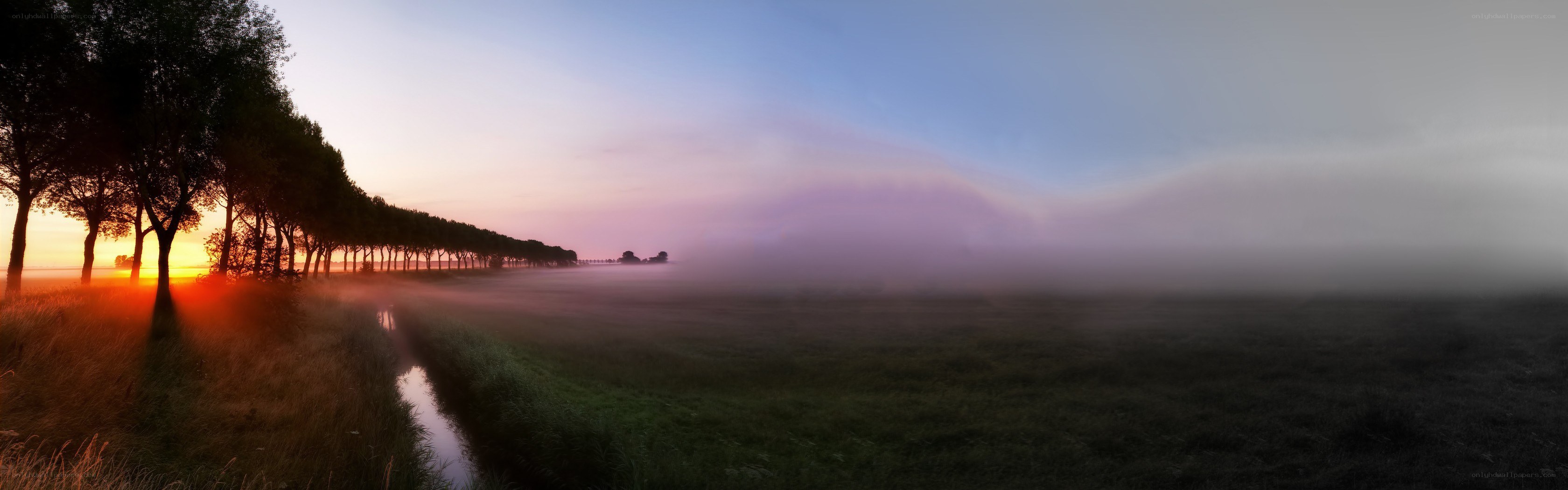 Foggy sunrise over a field