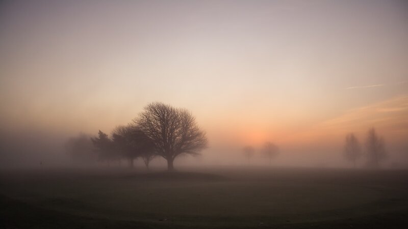 Foggy sunrise over a field