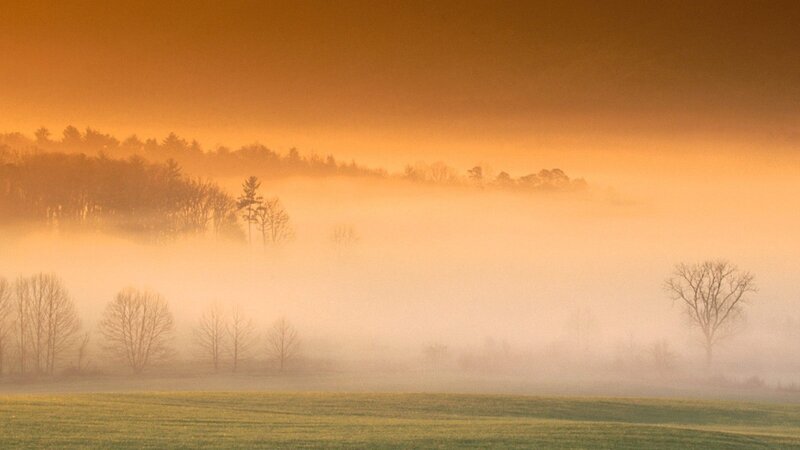 Foggy sunrise over a field