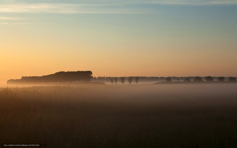 Foggy sunrise over a field