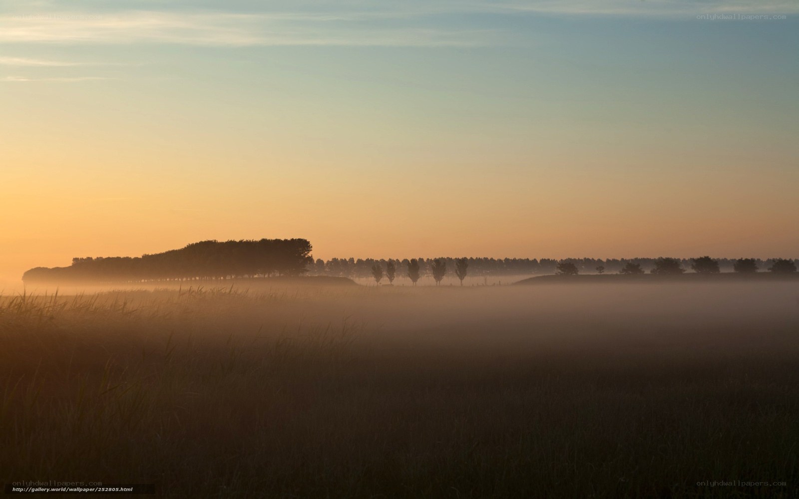 Foggy sunrise over a field