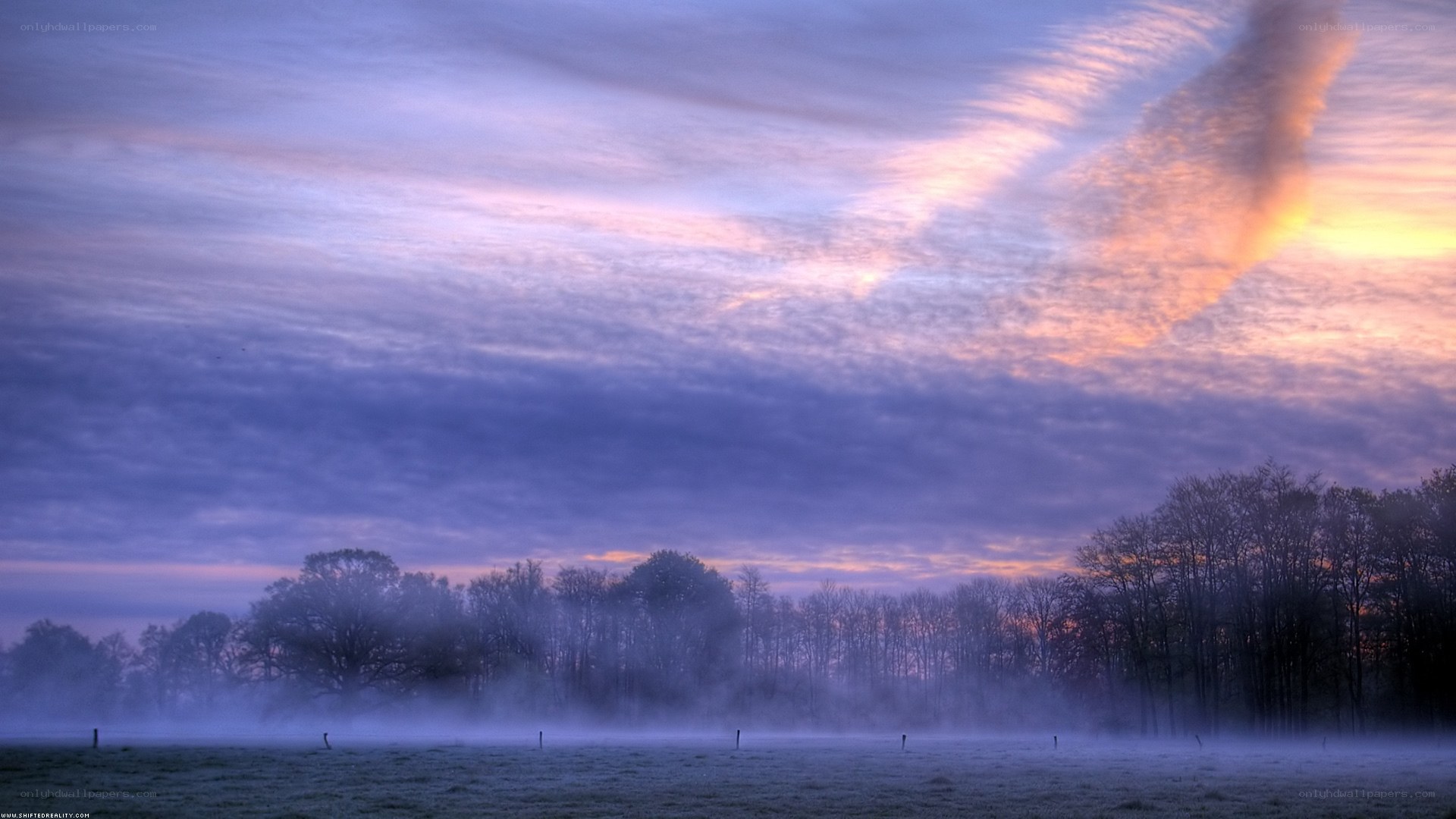 Foggy sunrise over a field
