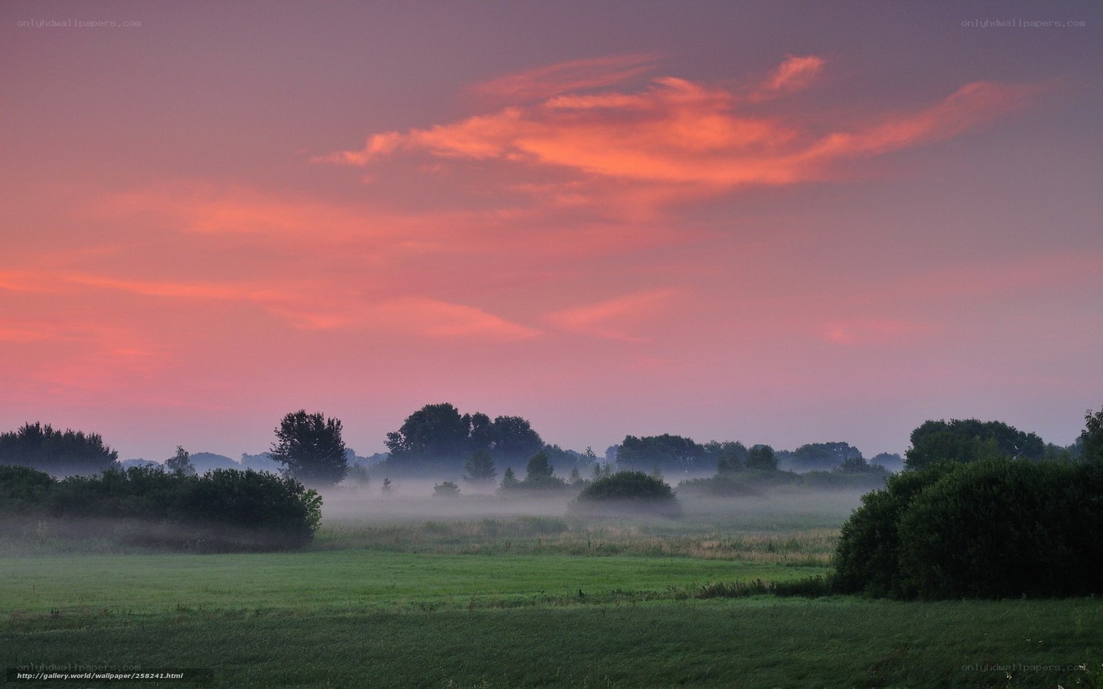 Foggy sunrise over a green field