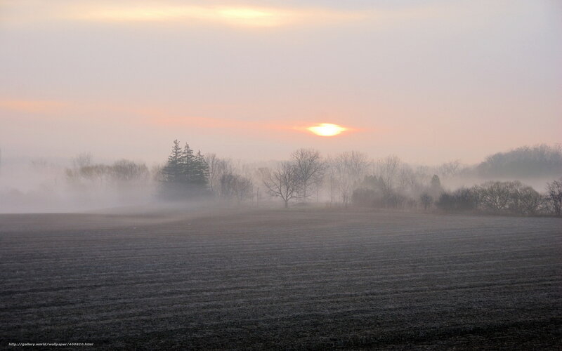 Foggy sunrise over a plowed field