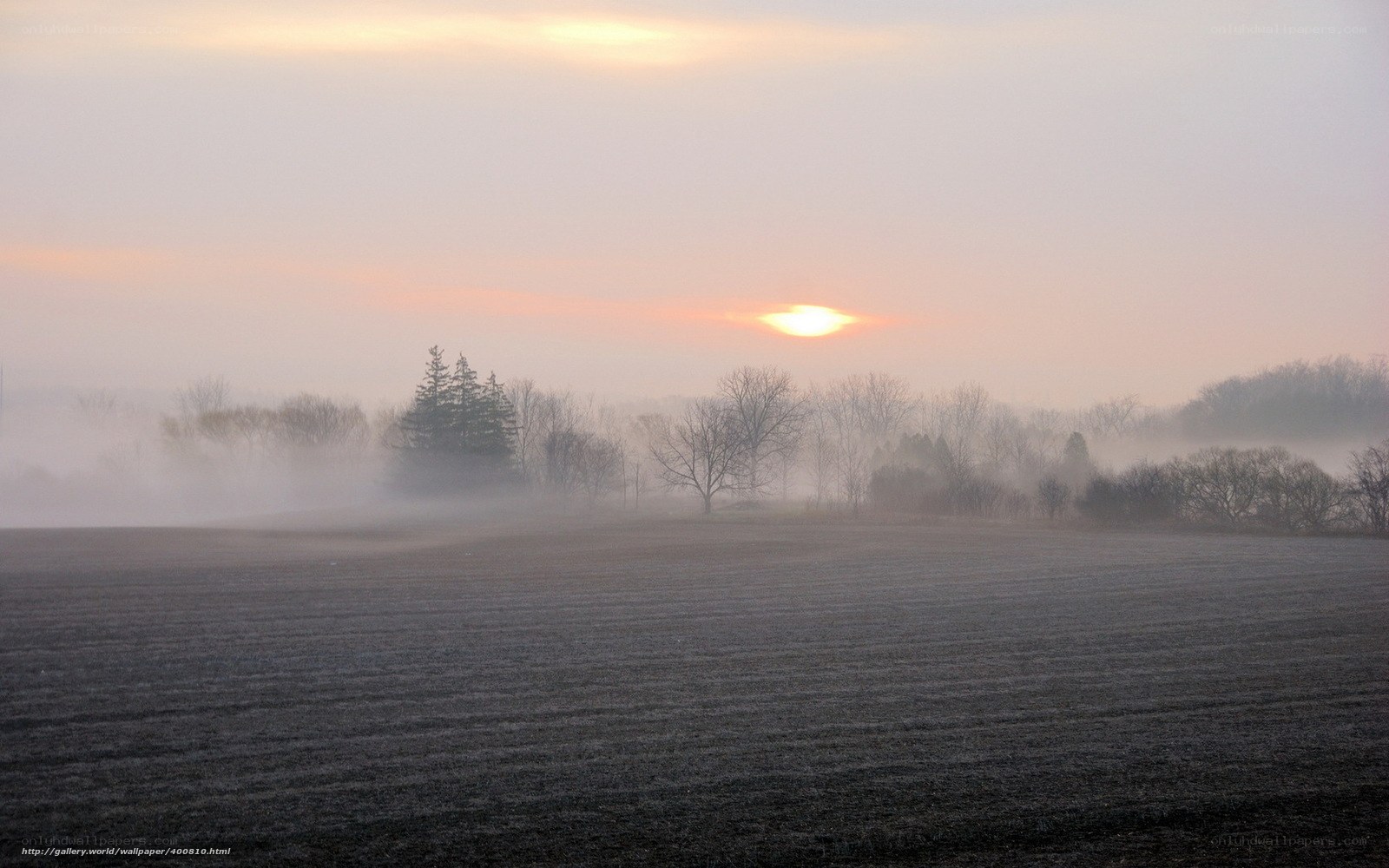 Foggy sunrise over a plowed field