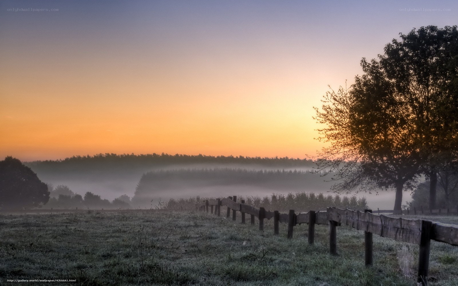 Foggy sunrise over a rural field