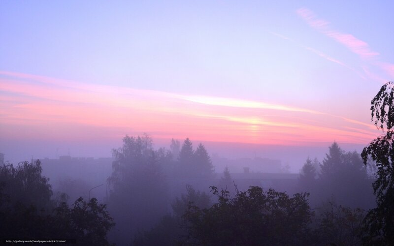 Foggy sunrise over city