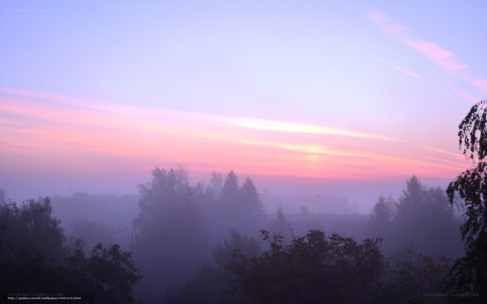 Foggy sunrise over city