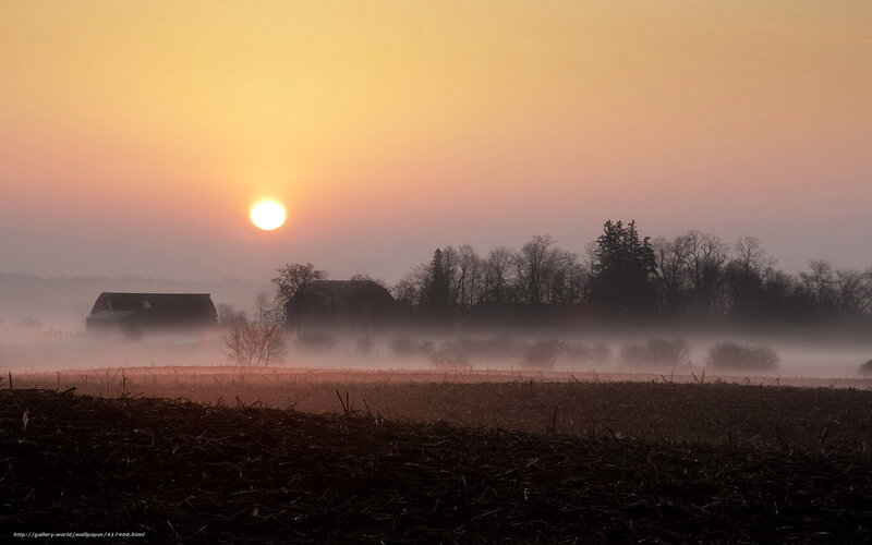 Foggy sunrise over farmland