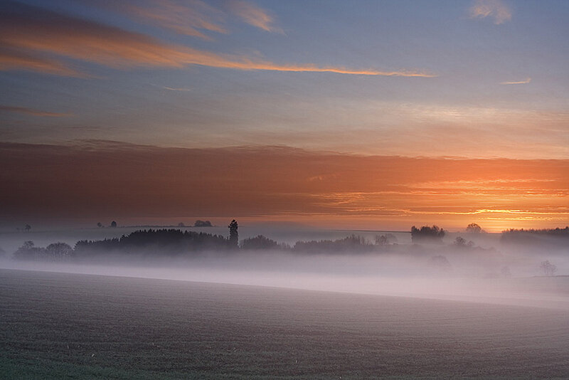 Foggy sunrise over fields