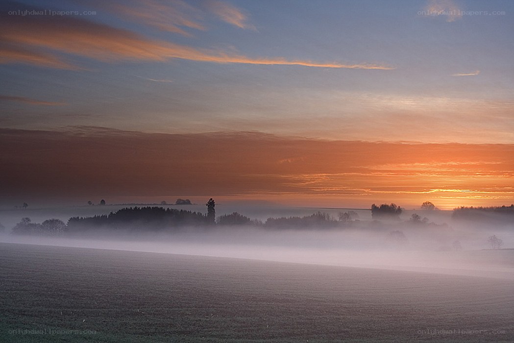 Foggy sunrise over fields