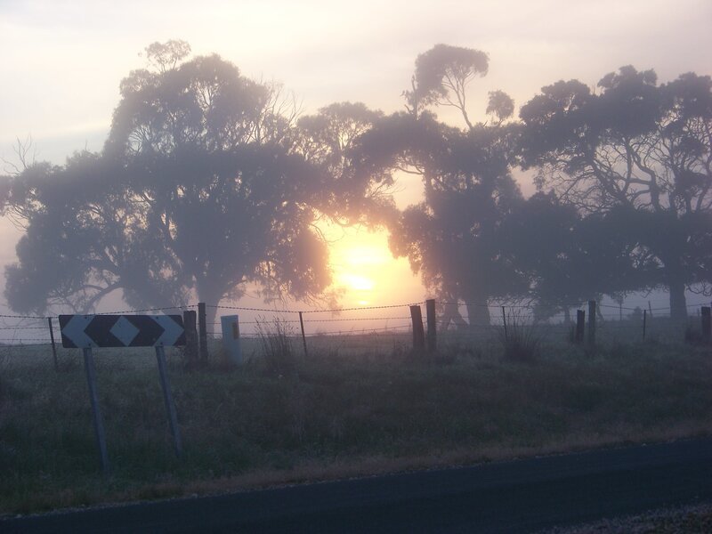 Foggy sunrise over rural road