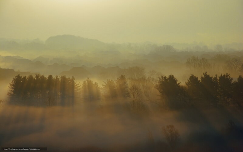 Foggy sunrise over suburban landscape
