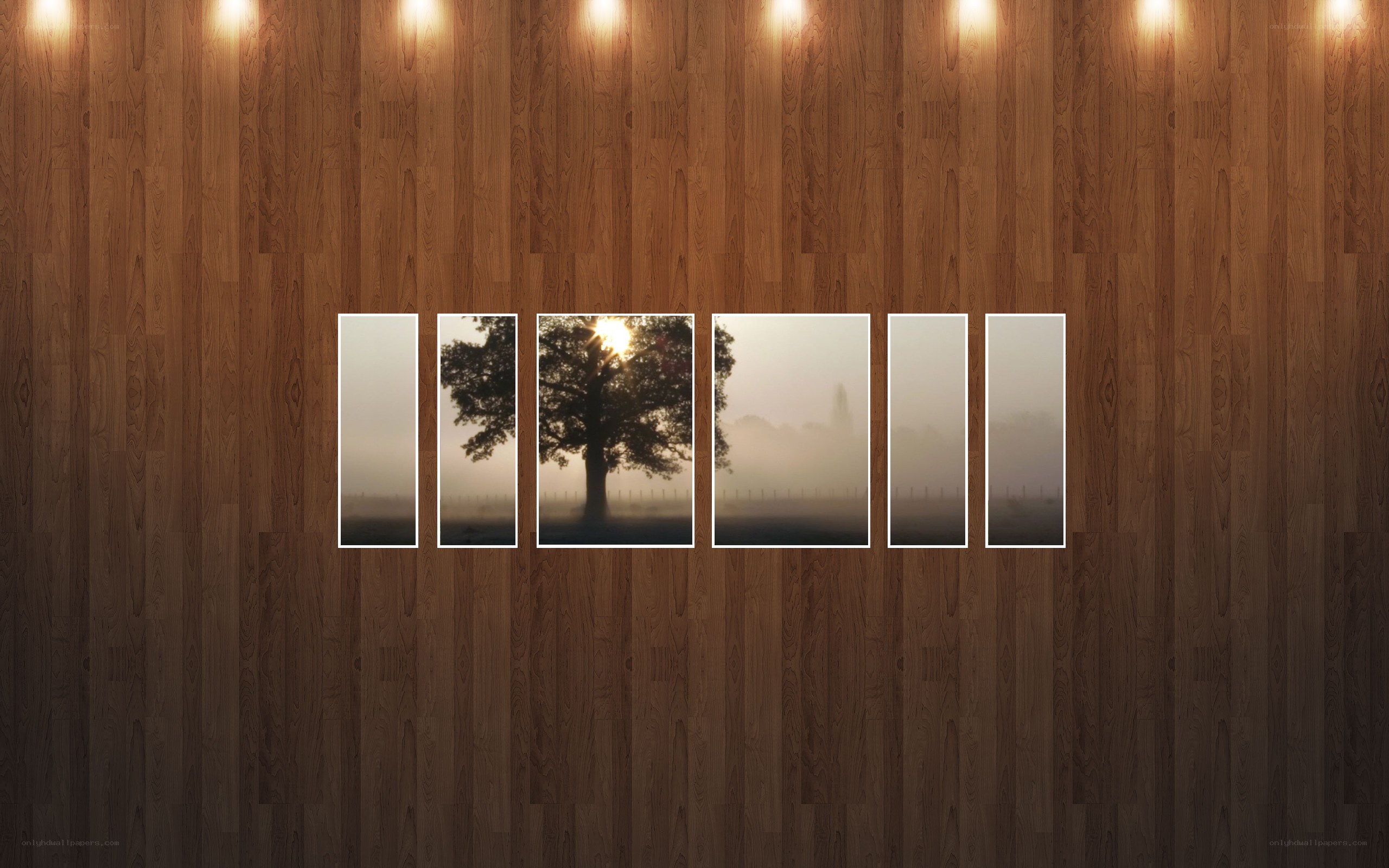 Foggy sunrise with tree