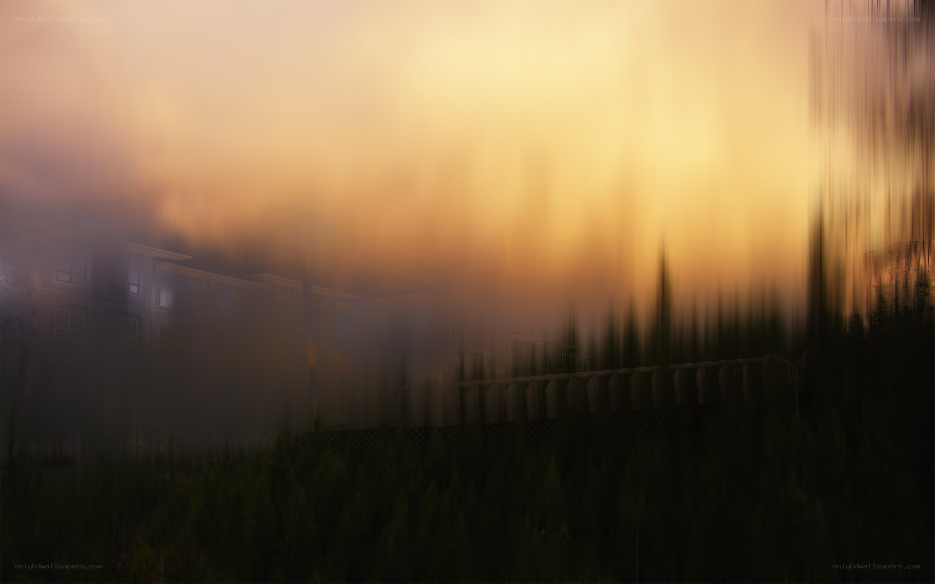 Foggy sunset over buildings
