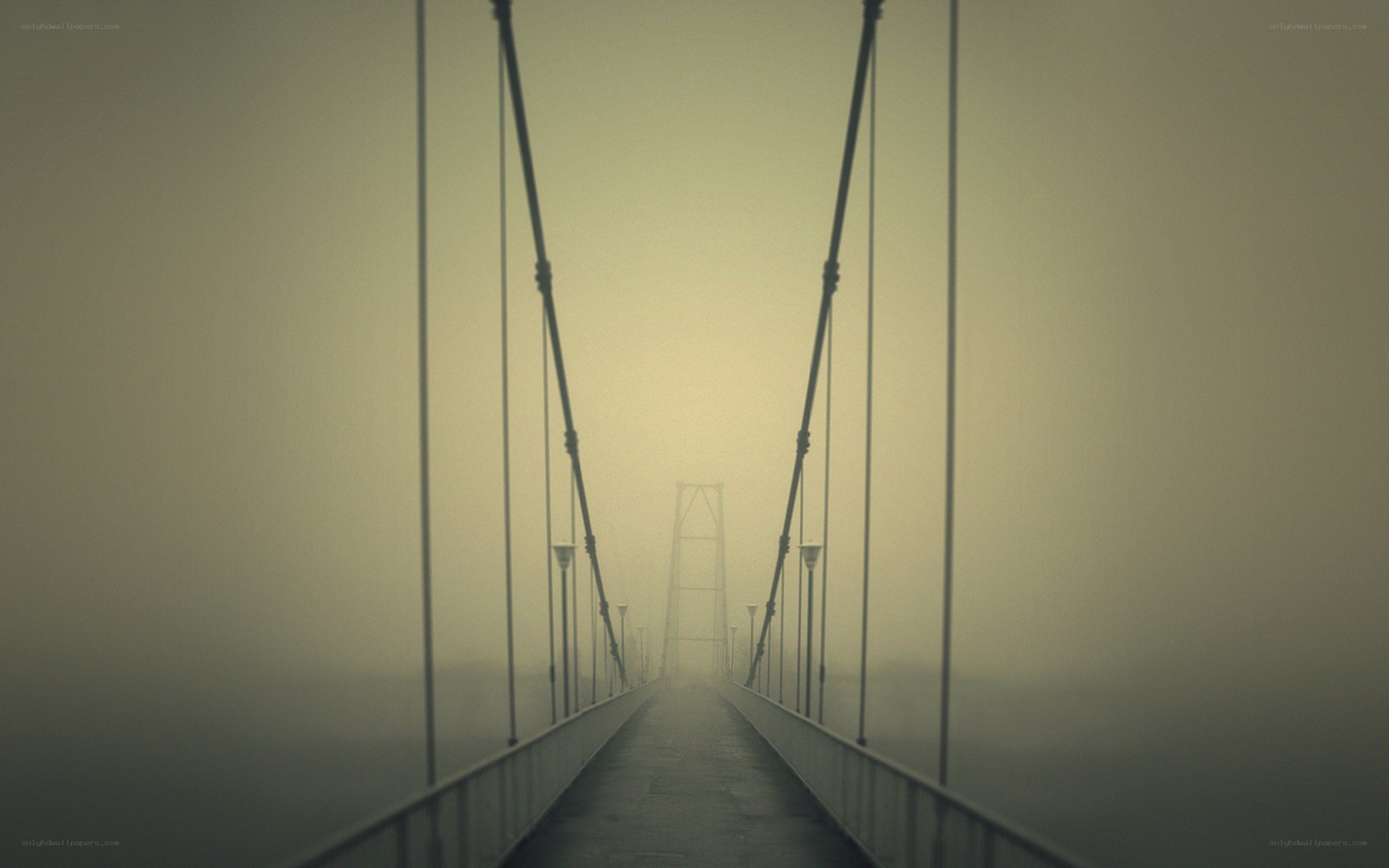 Foggy suspension bridge