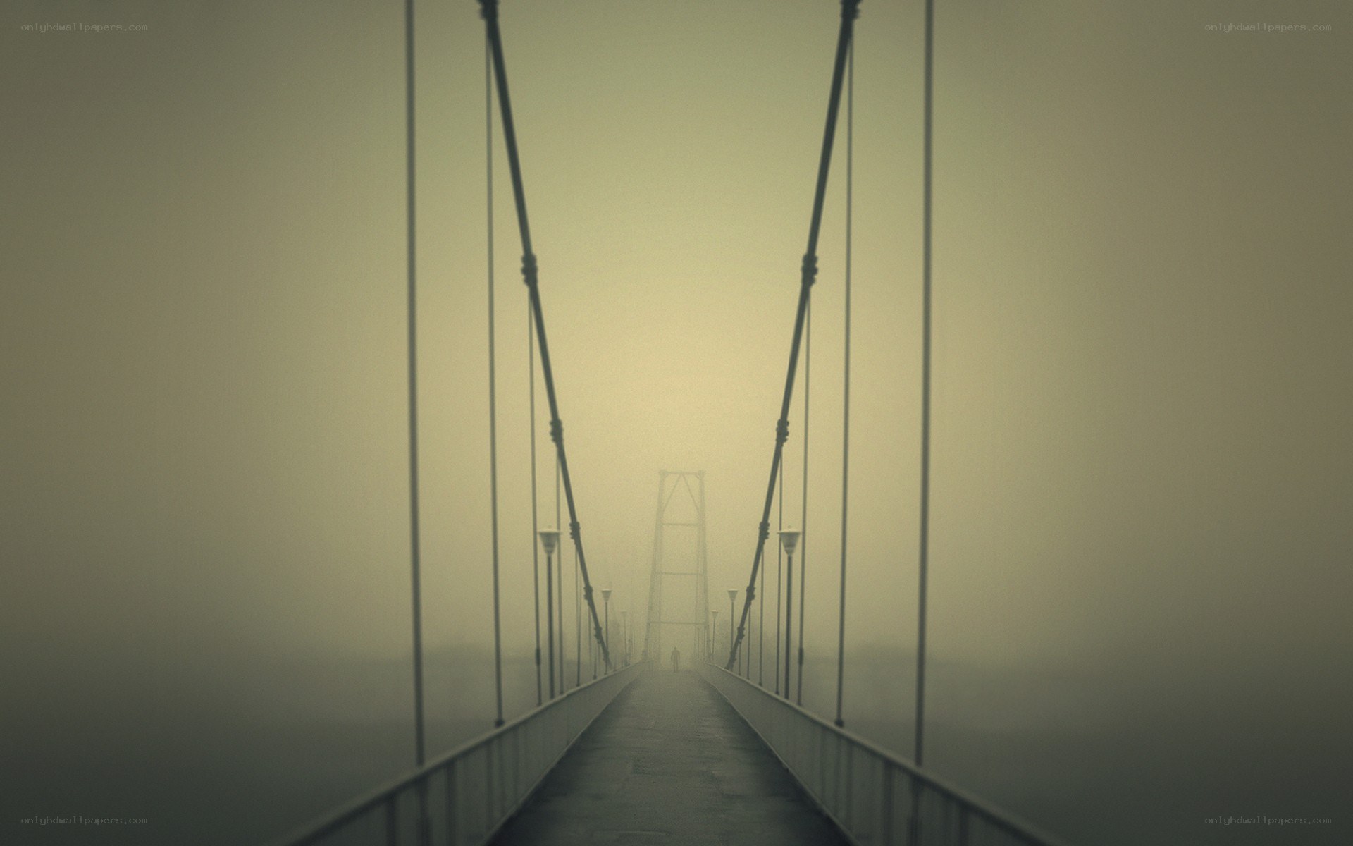 Foggy suspension bridge