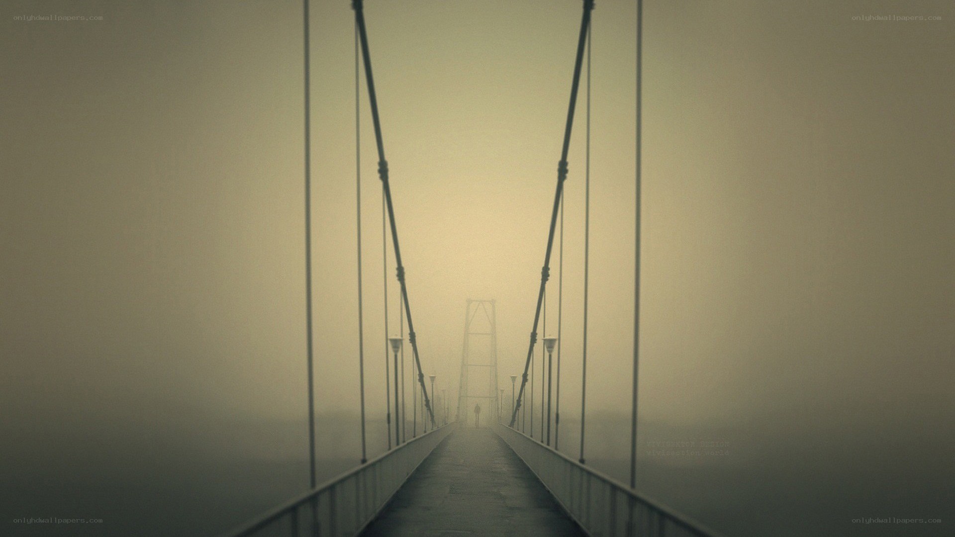 foggy suspension bridge