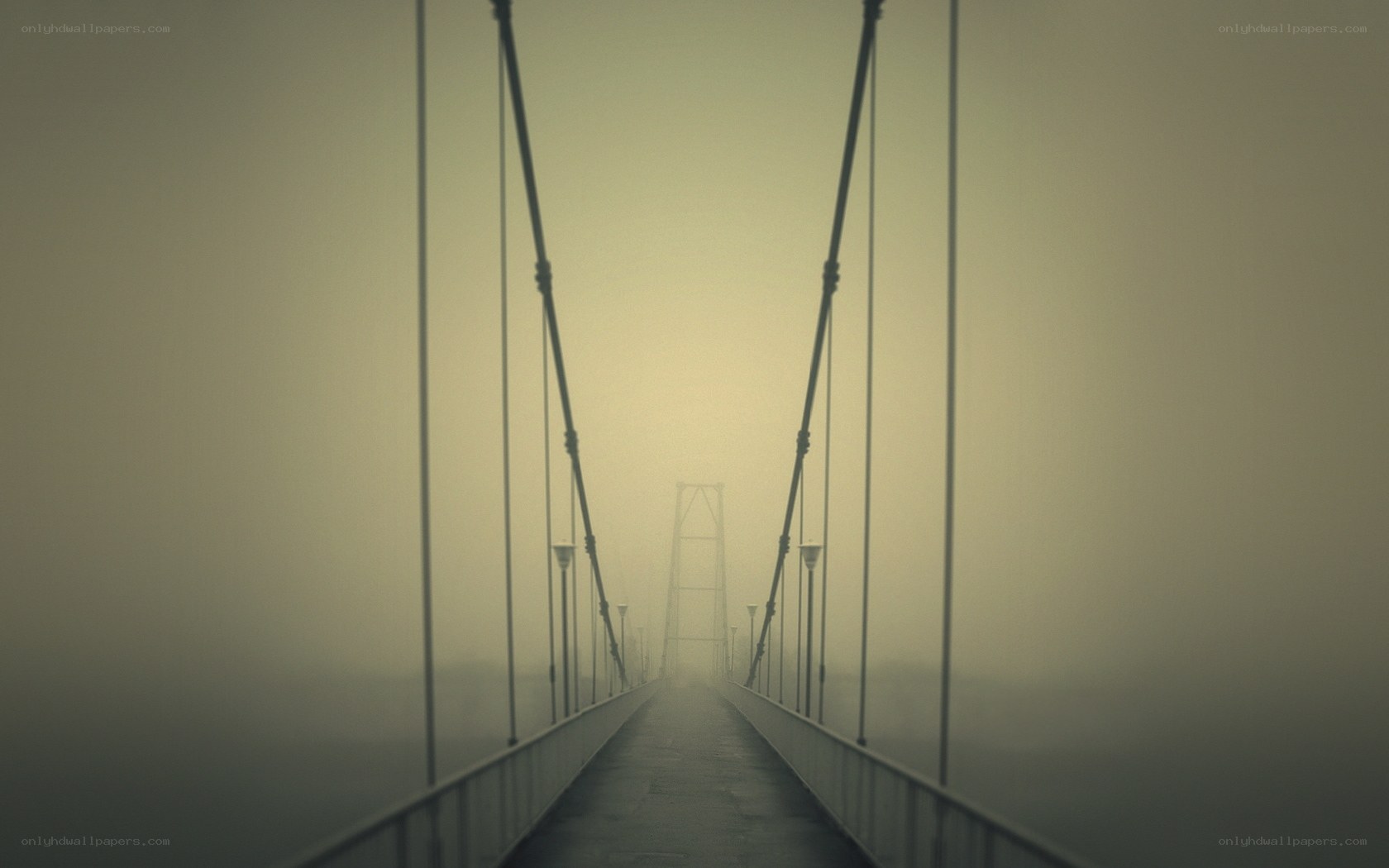Foggy suspension bridge