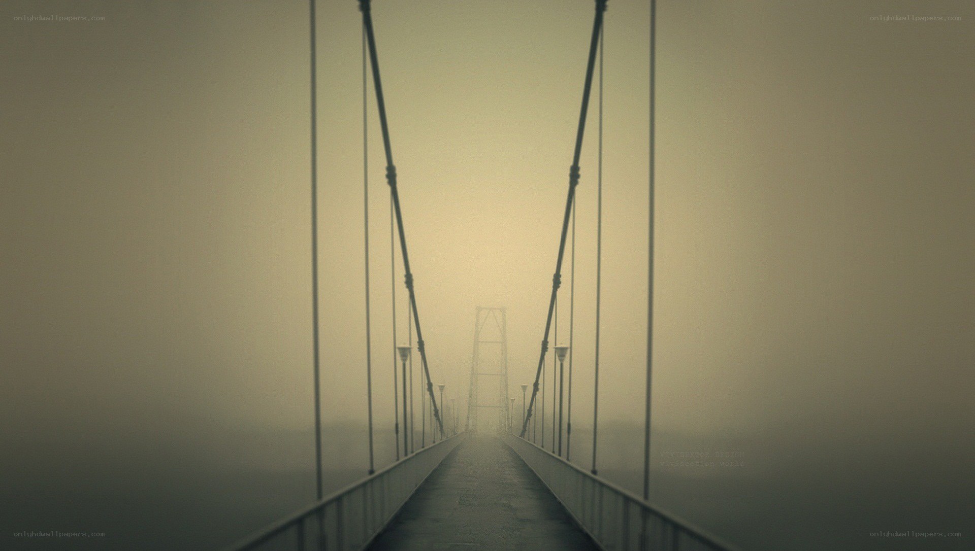 Foggy suspension bridge