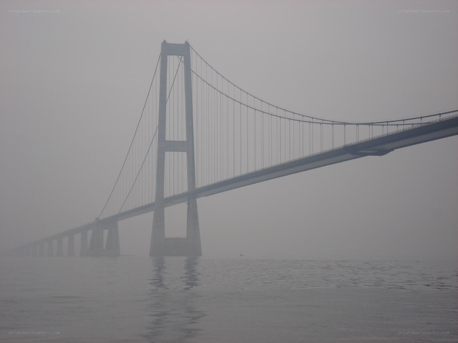 Foggy suspension bridge